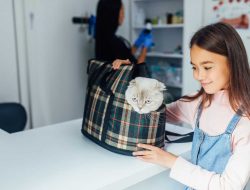 Cara Memulai Bisnis Pet Shop yang Menguntungkan