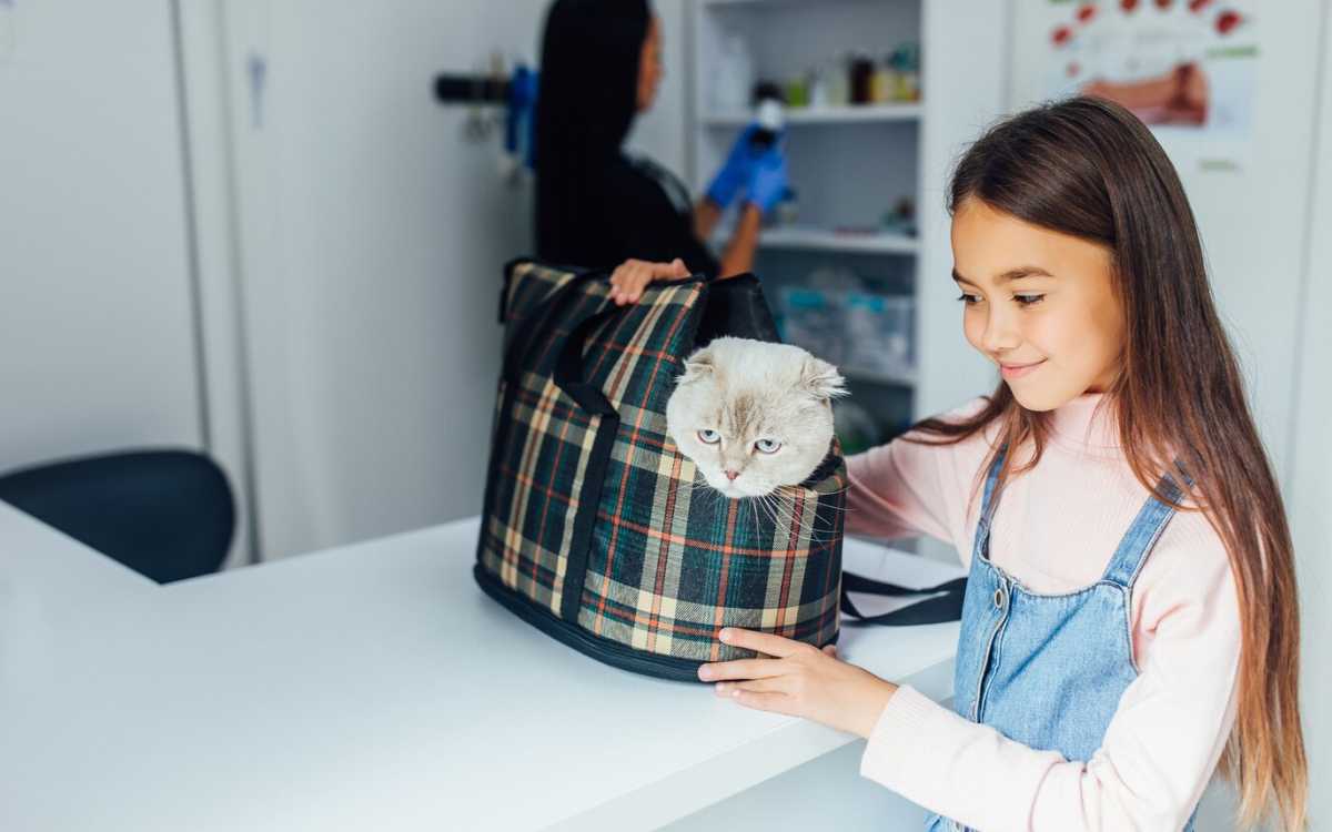 Ilustrasi petshop Freepik artursafronovvvv