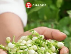 UMKM Wajib Belajar dari Kesuksesan Chagee, Perusahaan Teh China Valuasi Triliunan