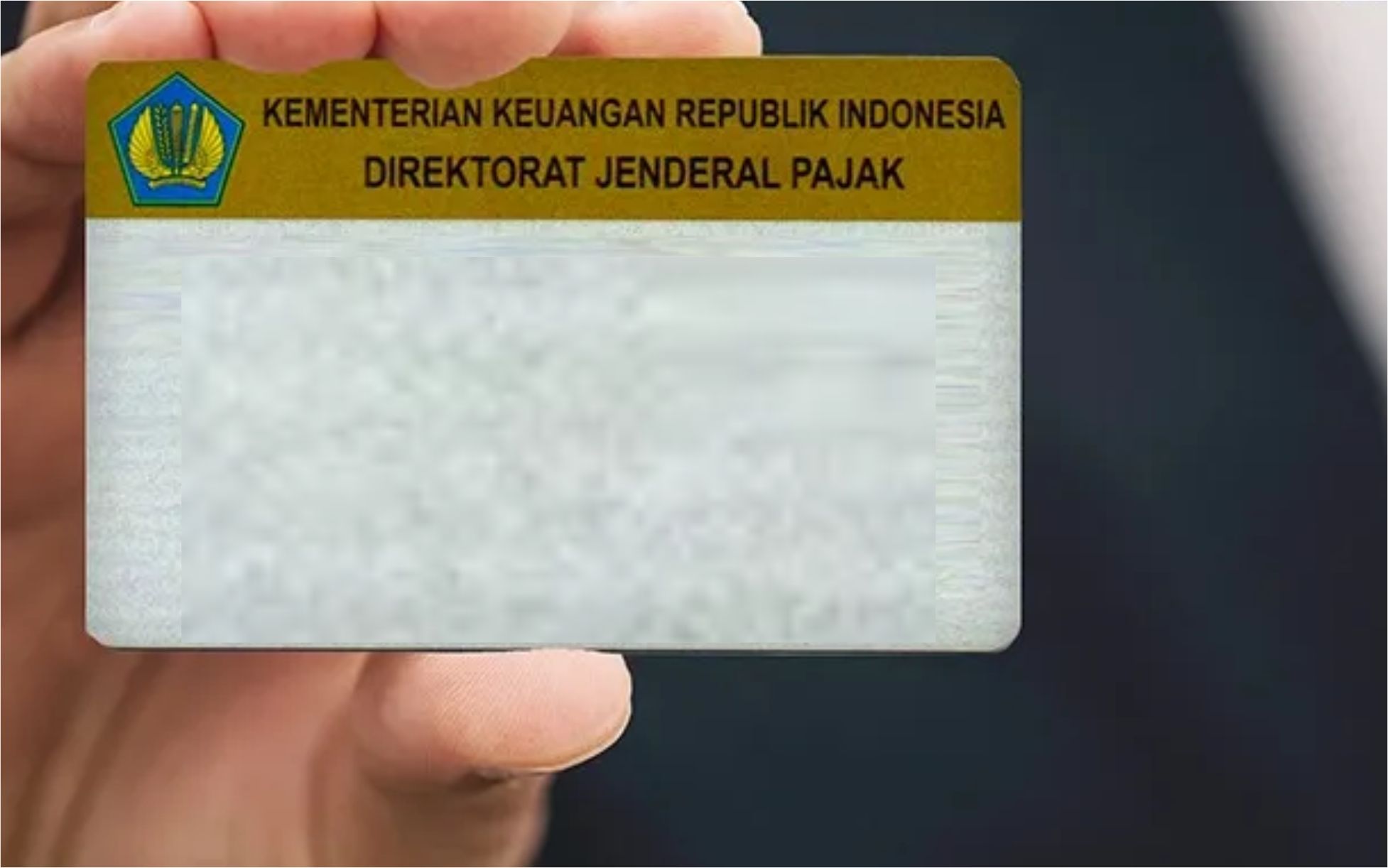 Ilustrasi NPWP Online Doc Istimewa